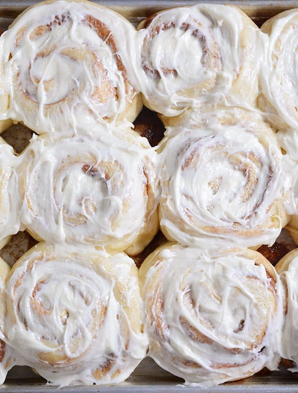 Top view of a baking sheet of frosted cinnamon rolls.